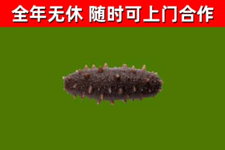 靖安烟酒回收干海参.jpg